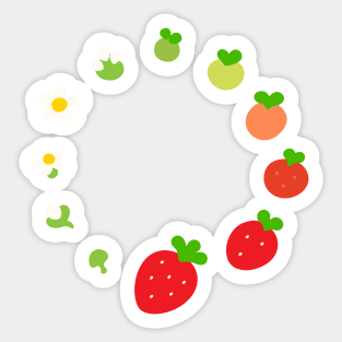 Strawberry Life Cycle Sticker